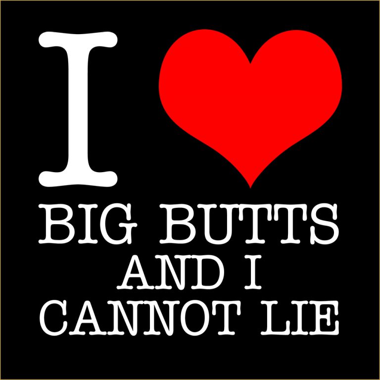I Love Big Butts And I Cannot Lie T Shirt I Love T Shirts 9810